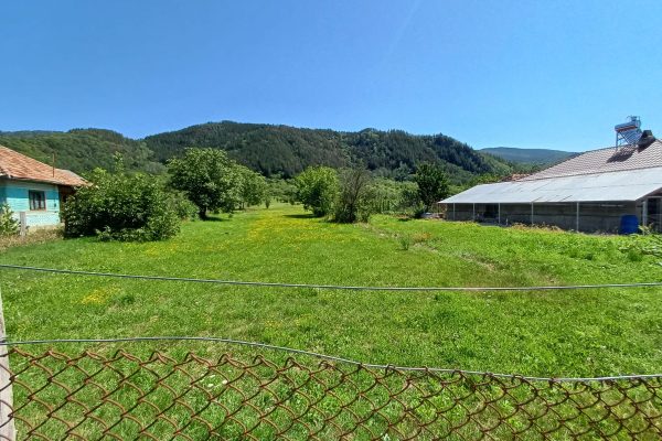 24d3390d-6ac6-47dd-ae69-d7b9547e3375
