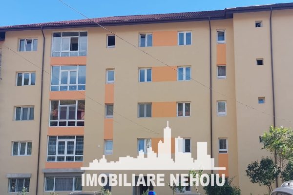 bloc23nehoiu 499